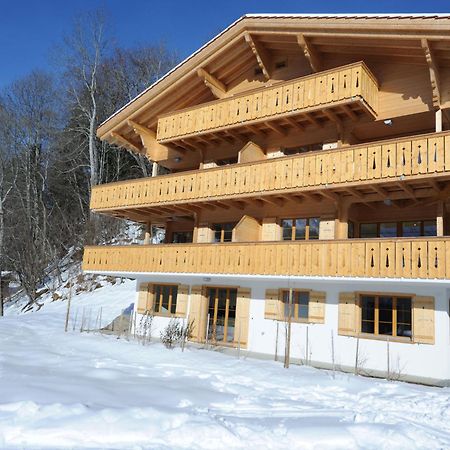 Apartment Panoramapark Soleil Haus D Apt 3 By Interhome Wengen Buitenkant foto