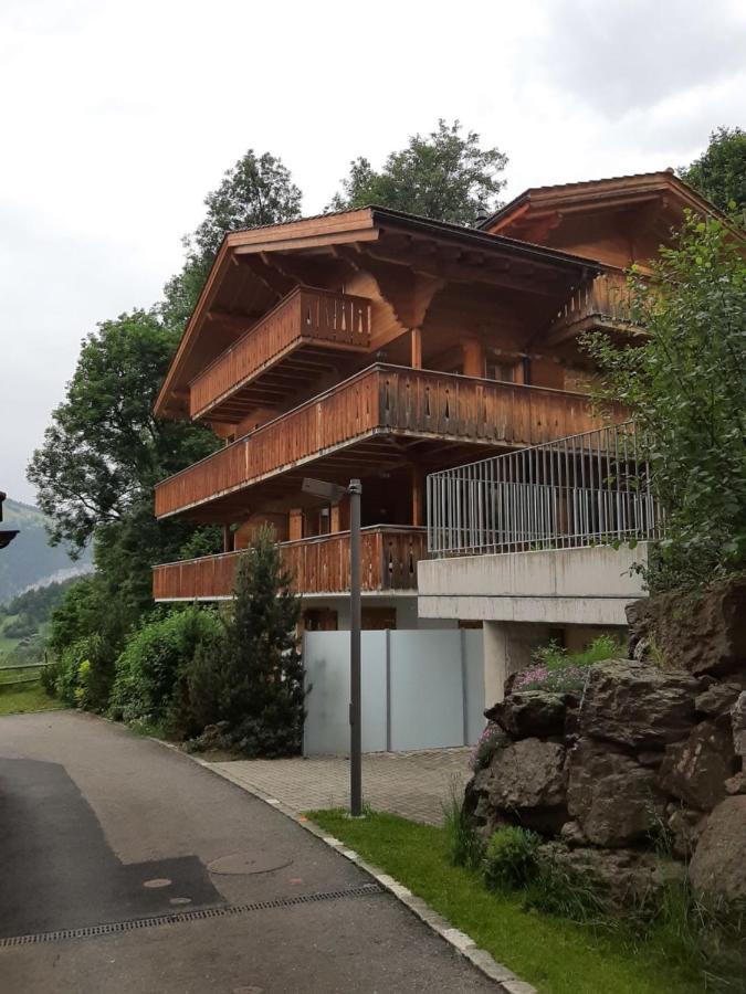 Apartment Panoramapark Soleil Haus D Apt 3 By Interhome Wengen Buitenkant foto