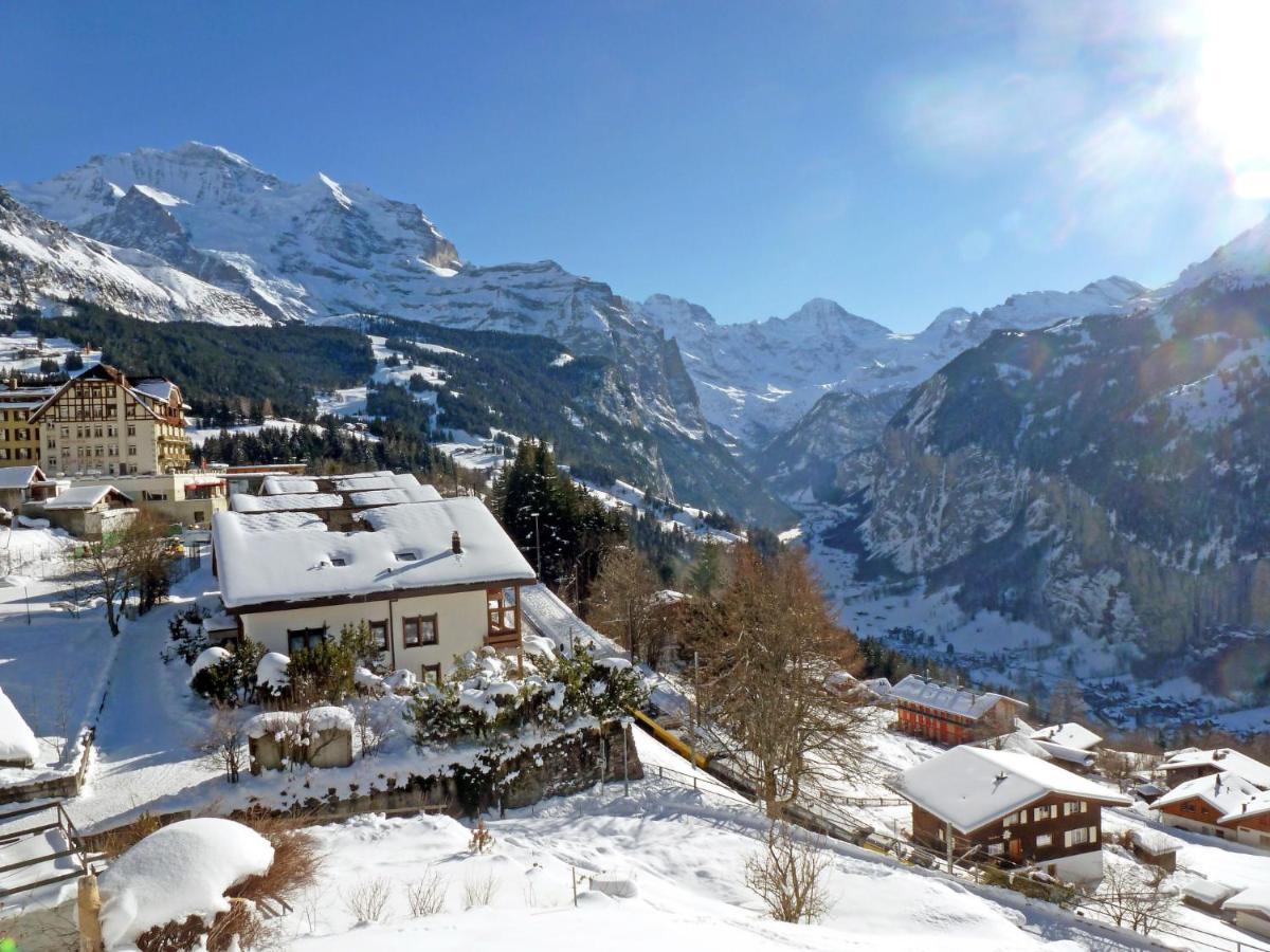 Apartment Panoramapark Soleil Haus D Apt 3 By Interhome Wengen Buitenkant foto