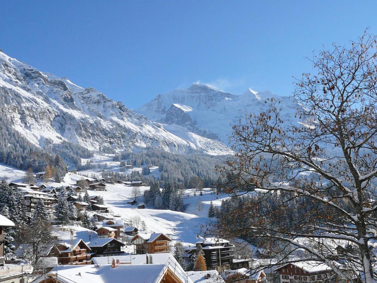 Apartment Panoramapark Soleil Haus D Apt 3 By Interhome Wengen Buitenkant foto