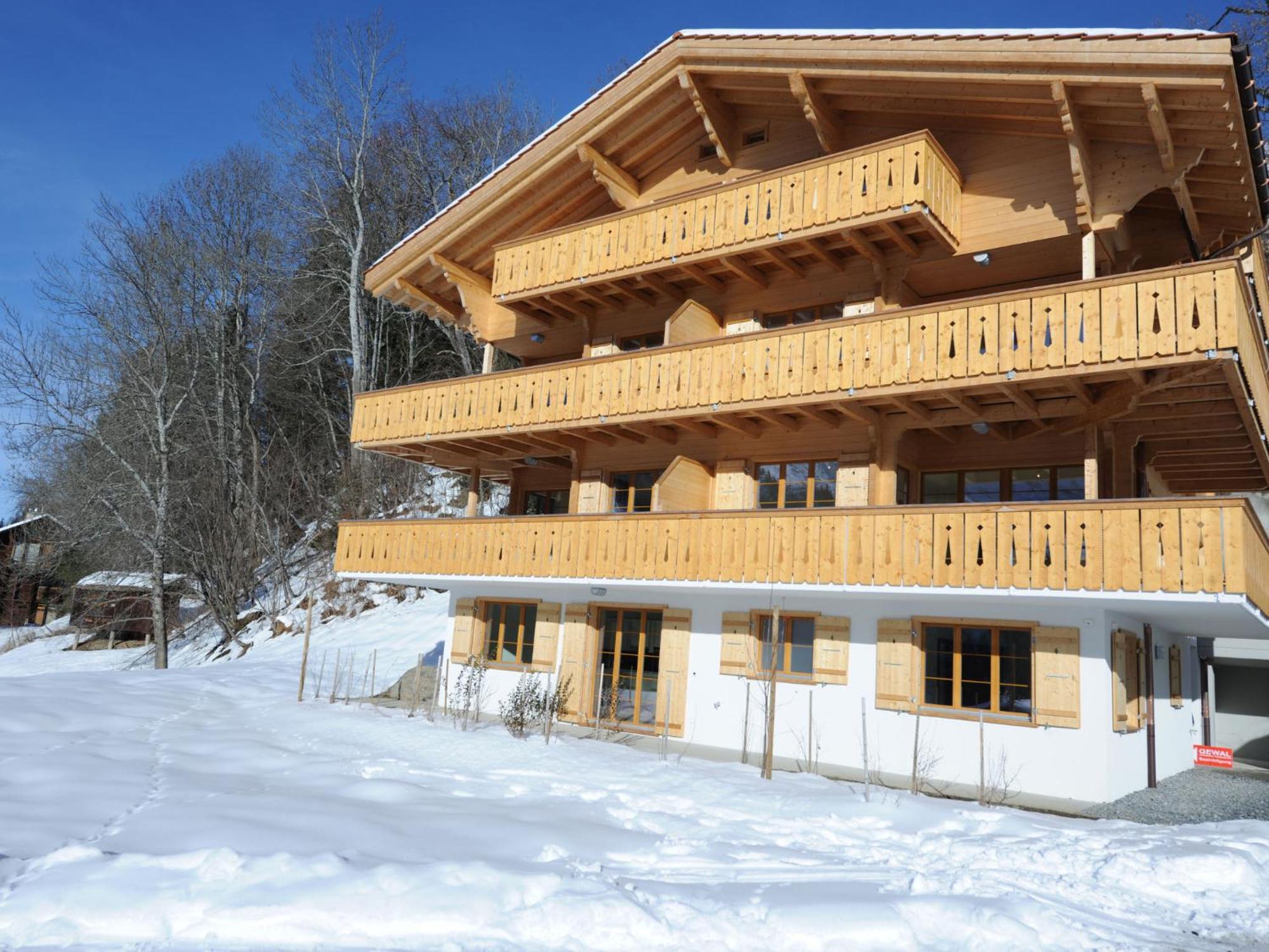 Apartment Panoramapark Soleil Haus D Apt 3 By Interhome Wengen Buitenkant foto