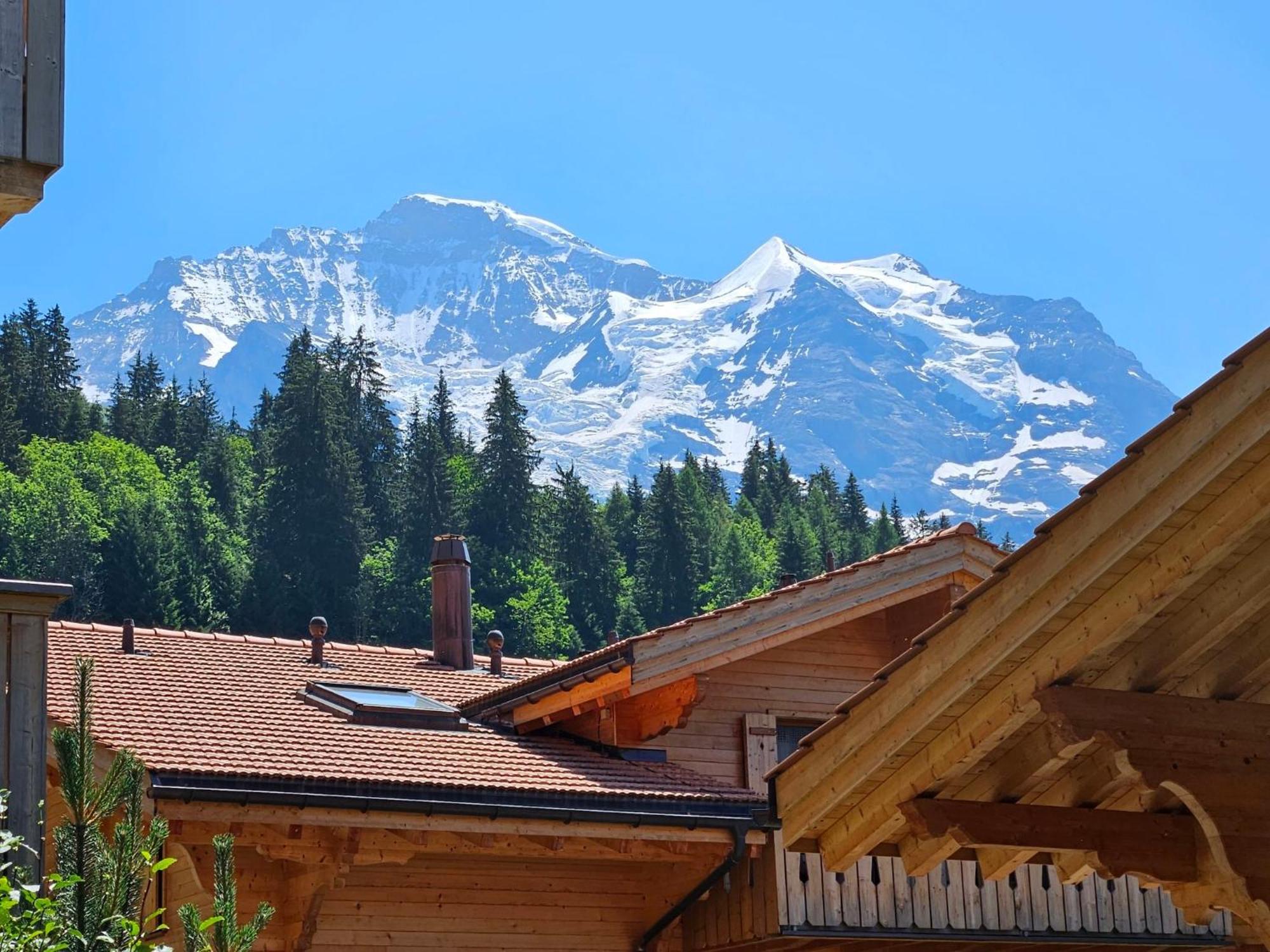 Apartment Panoramapark Soleil Haus D Apt 3 By Interhome Wengen Buitenkant foto