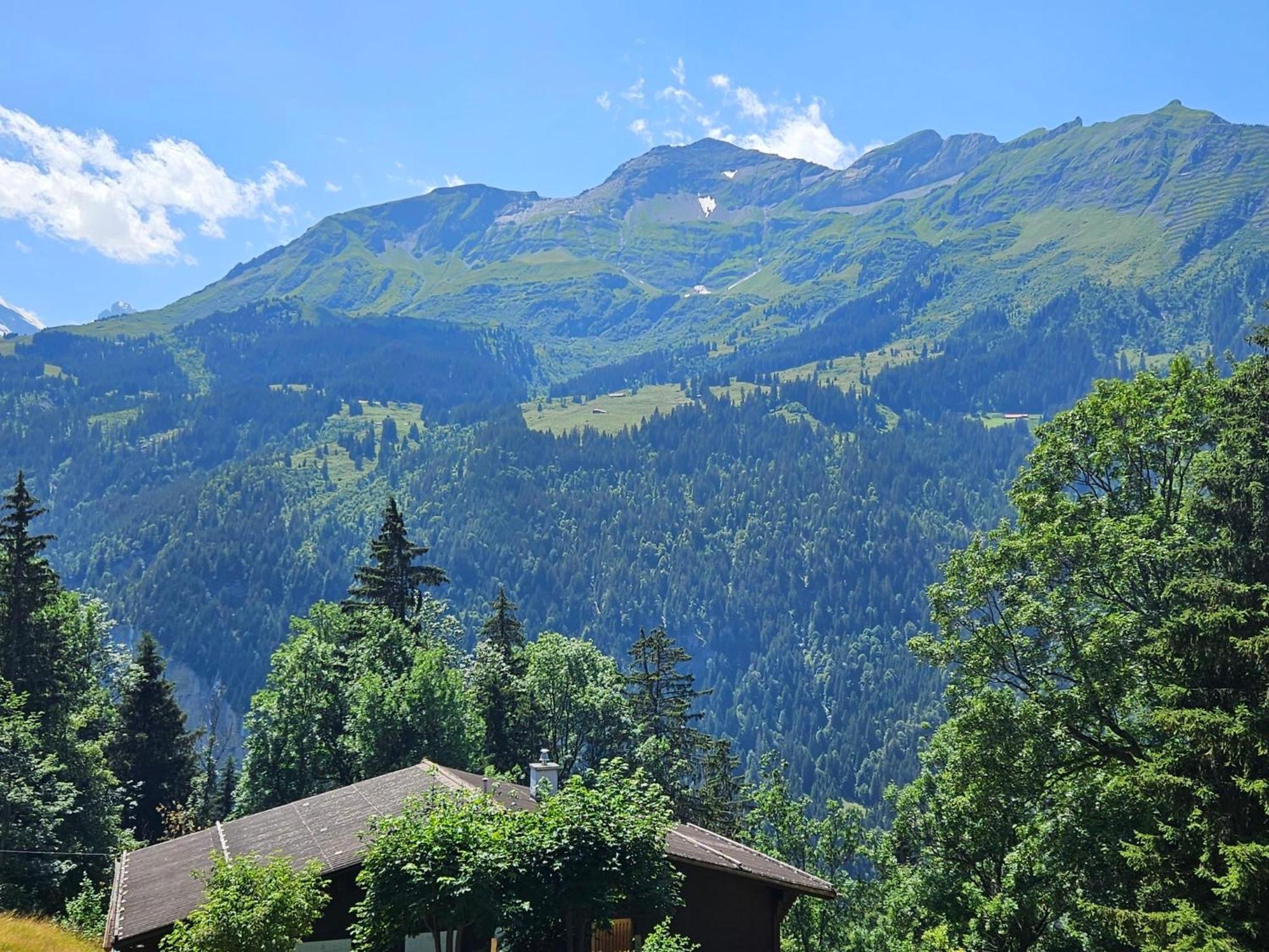 Apartment Panoramapark Soleil Haus D Apt 3 By Interhome Wengen Buitenkant foto