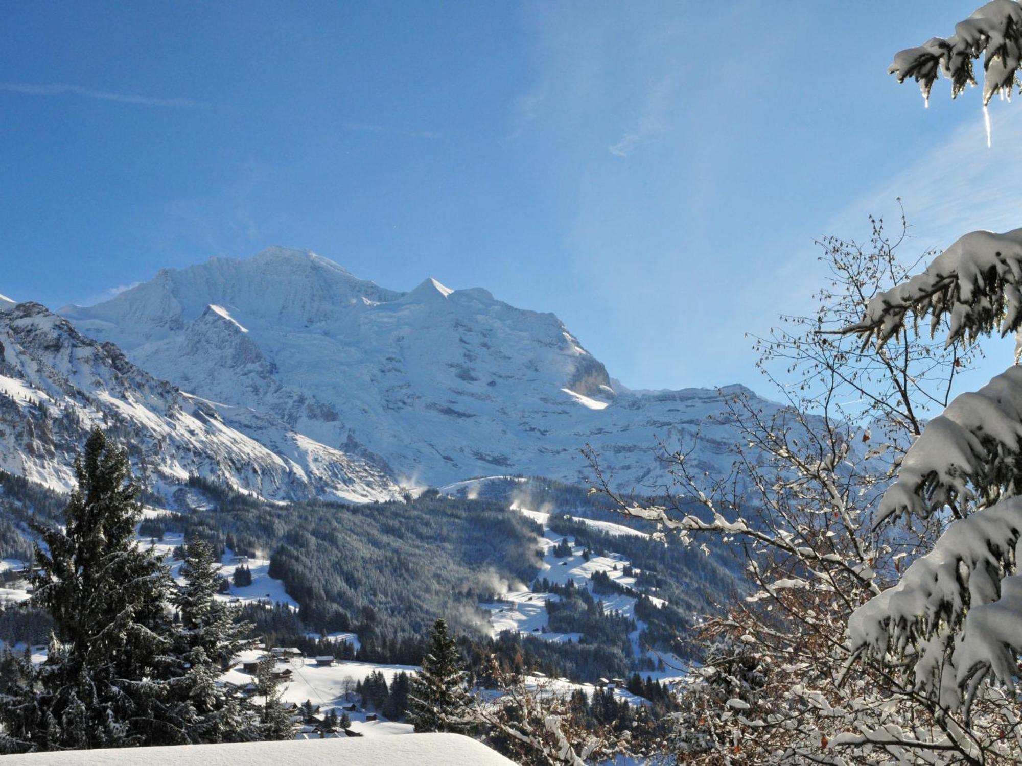 Apartment Panoramapark Soleil Haus D Apt 3 By Interhome Wengen Buitenkant foto